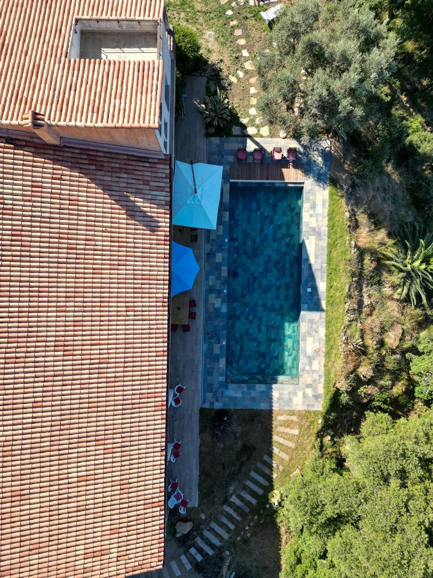 Grande Villa 750 M2 Le Mas Des Chenes Bormes-les-Mimosas Eksteriør bilde