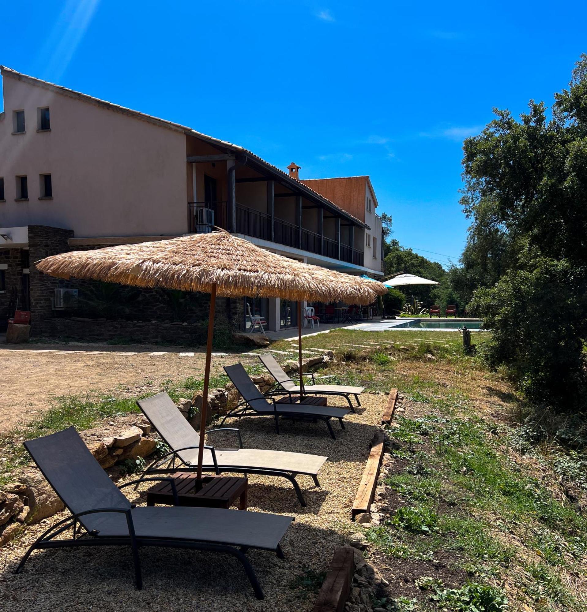 Grande Villa 750 M2 Le Mas Des Chenes Bormes-les-Mimosas Eksteriør bilde